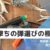 鹿撃ちの弾選びの極意！散弾銃・ライフル銃両方解説します