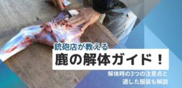 鹿の解体ガイド