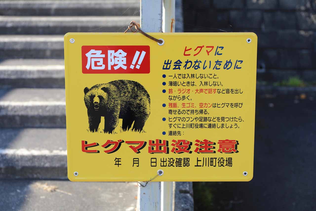 熊の被害はどのような状態か？現役ハンターが見る世界