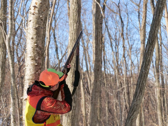 狩猟でよく使われる弾頭の種類と特徴
