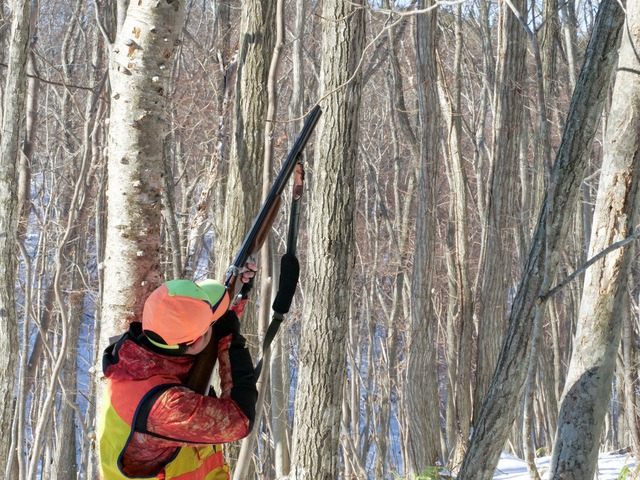 ジャムを解消する復旧手順