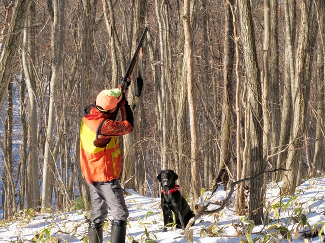 日本で所持できる銃の条件と誰でも買えるわけではない理由
