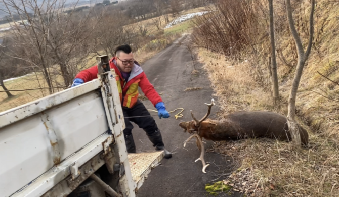 単独忍び猟は撃った後が勝負！一人で行う解体・搬出とヒグマ対策の教科書