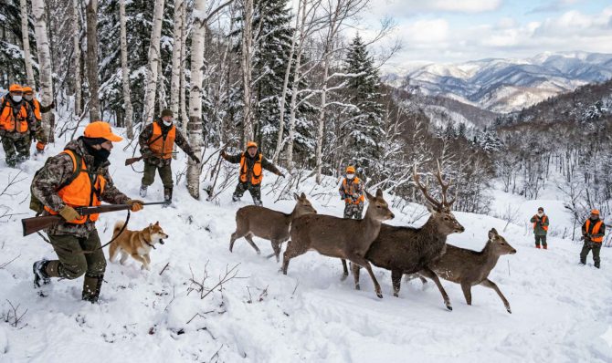 巻き狩りとは？初心者が絶対に知っておくべき「暗黙の了解」と1日の流れ