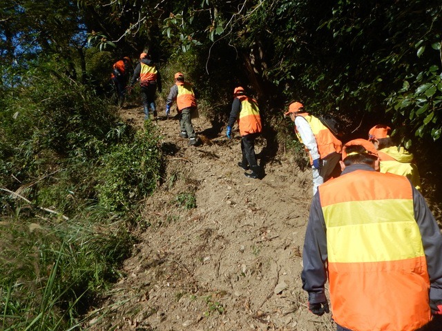 巻き狩りとは？初心者が知っておくべき基本と専門用語