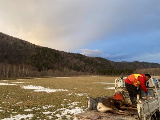【スタイル別】あなたにおすすめの猟法診断