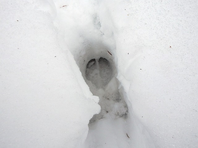 獲物のサインを見抜く！有望な「猟場」か判断する3つの視点