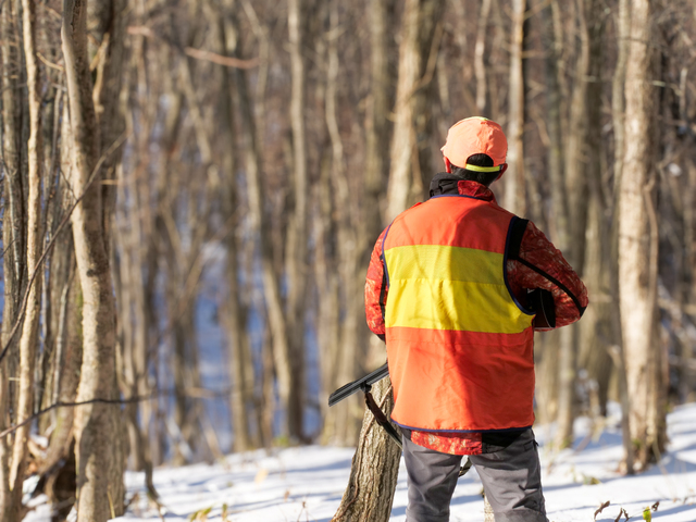 狩猟初心者の壁！「流し猟」と「忍び猟」の違いとは？